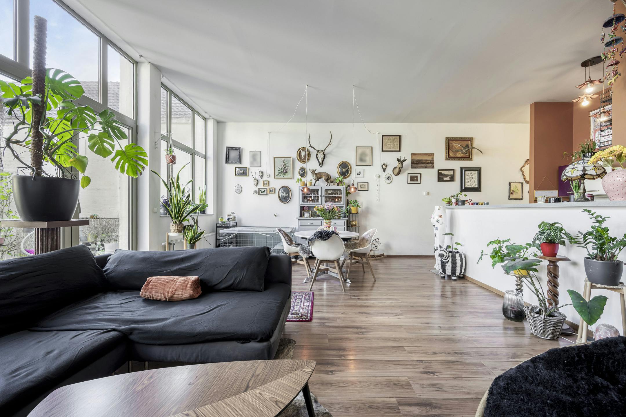 Lichtrijk appartement met bijgebouw in Ronse te koop foto 3