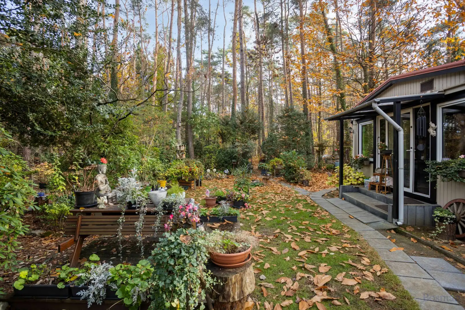 Vakantieverblijf te koop op Konijnepad in Tessenderlo foto 10