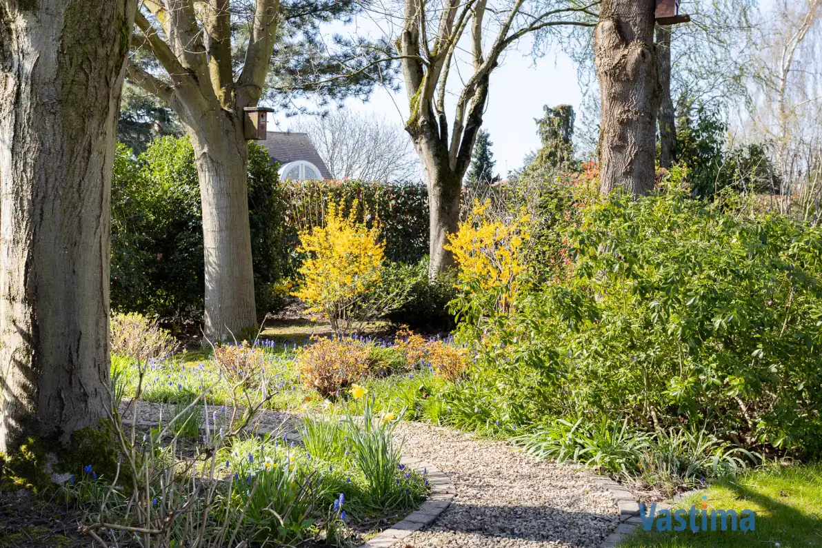 Instapklare gezinswoning met zonnige tuin, garage en topligging nabij centrum Aalst foto 26