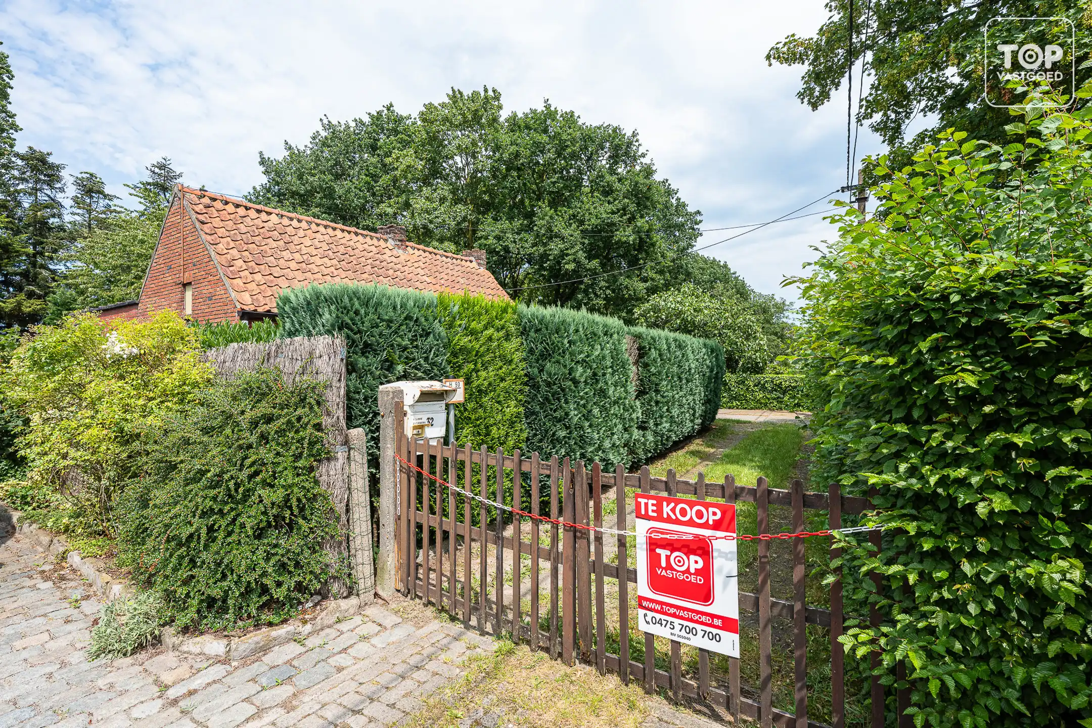 Huis te koop foto 3