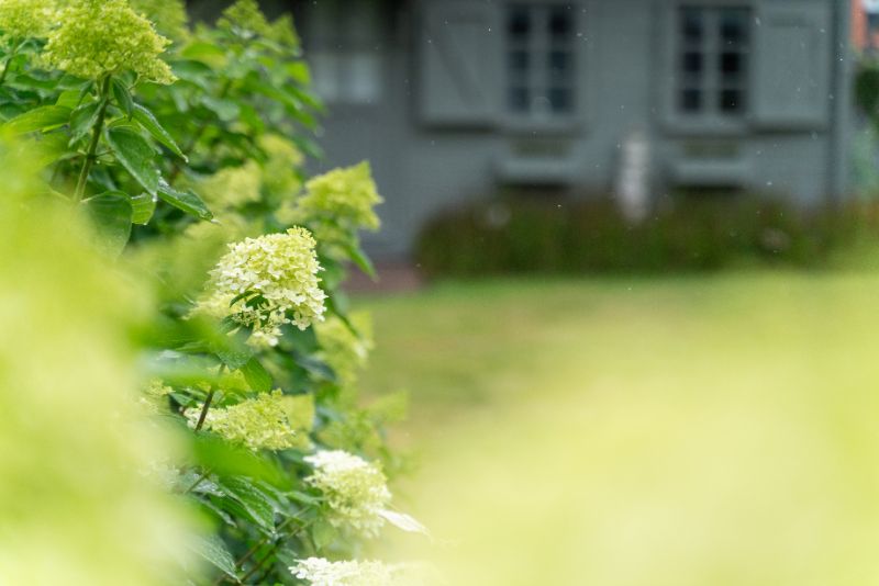 Prachtig onderhouden instapklare woning foto 18