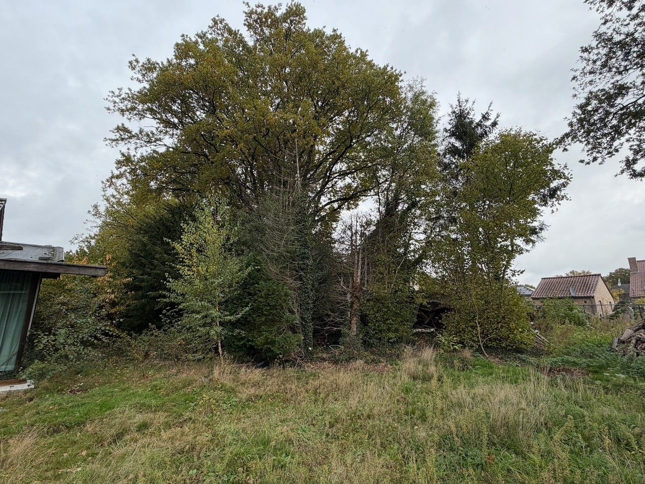 Genk-Bret, Bonderstraat 49: Te renoveren woning met charme en potentieel op een perceel van 8a 05ca. foto 24