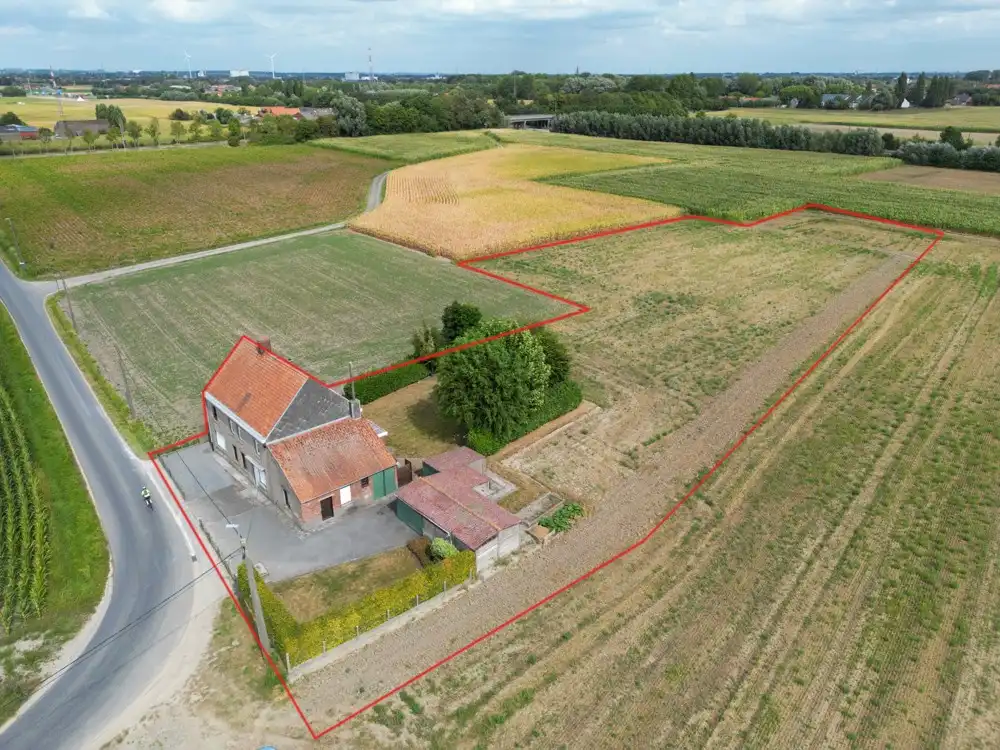 Landelijke woning/bouwgrond met verzichten - Oekene foto 9