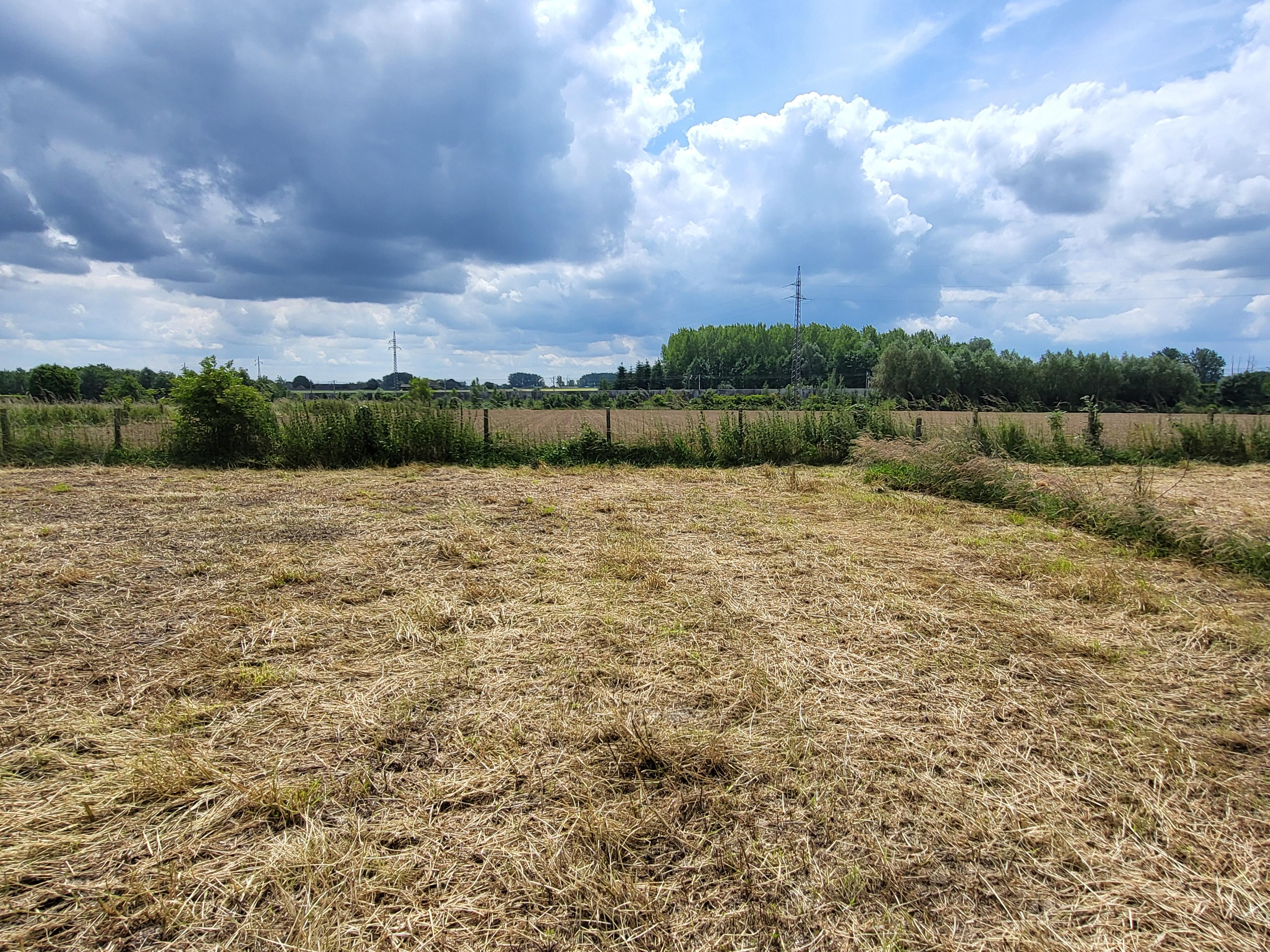 Charmant te renoveren vierkanthoeve op 2696m² met panoramisch uitzicht op de velden.  foto 11