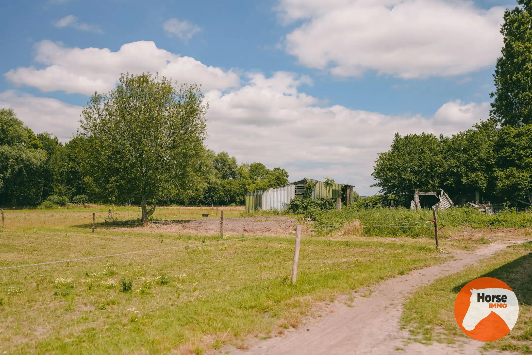 AXEL - Hoeve op een goede locatie met paardenfaciliteiten foto 56