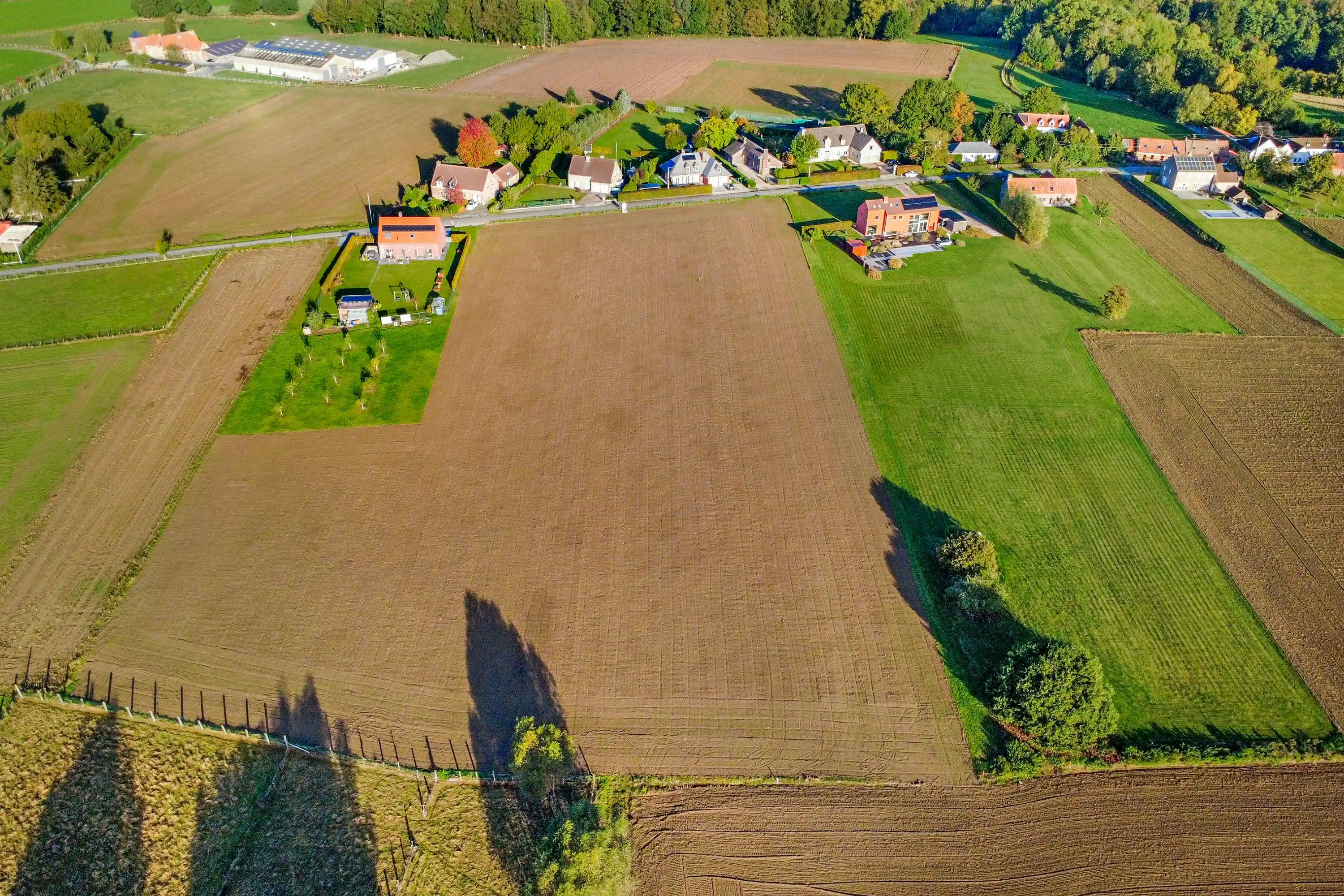 Perceel grond van 5.032 m² gelegen in Ellezelles foto 2