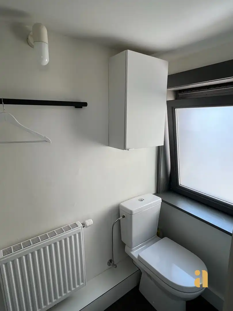 Bemeubelde studio met zicht op Baudelopark en Leie! foto 12