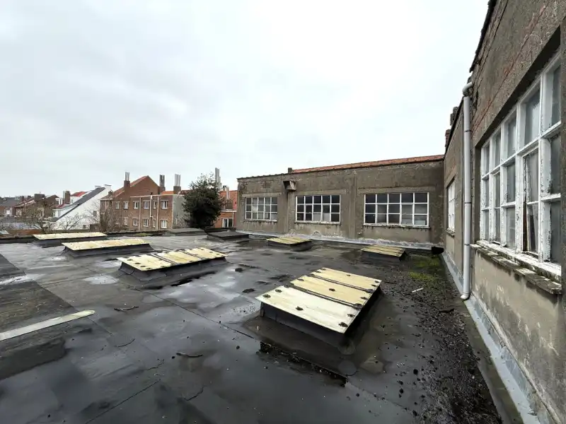 Ruime loods met tal van mogelijkheden foto 21