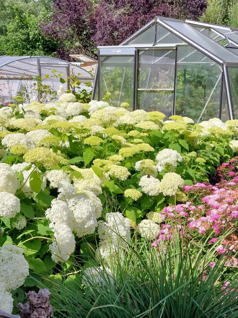 Unieke burgemeesterswoning met authentieke charme, 6 slaapkamers en grote tuin nabij IJzer te Roesbrugge! foto 71