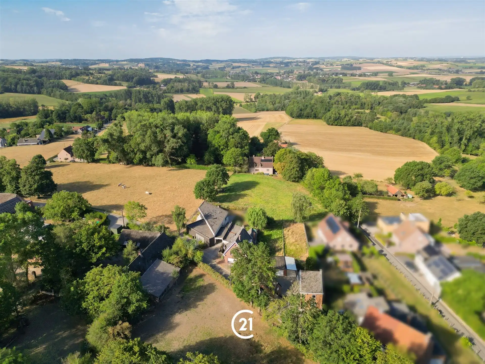 Renovatieproject met prachtige tuin in de Vlaamse Ardennen foto 4