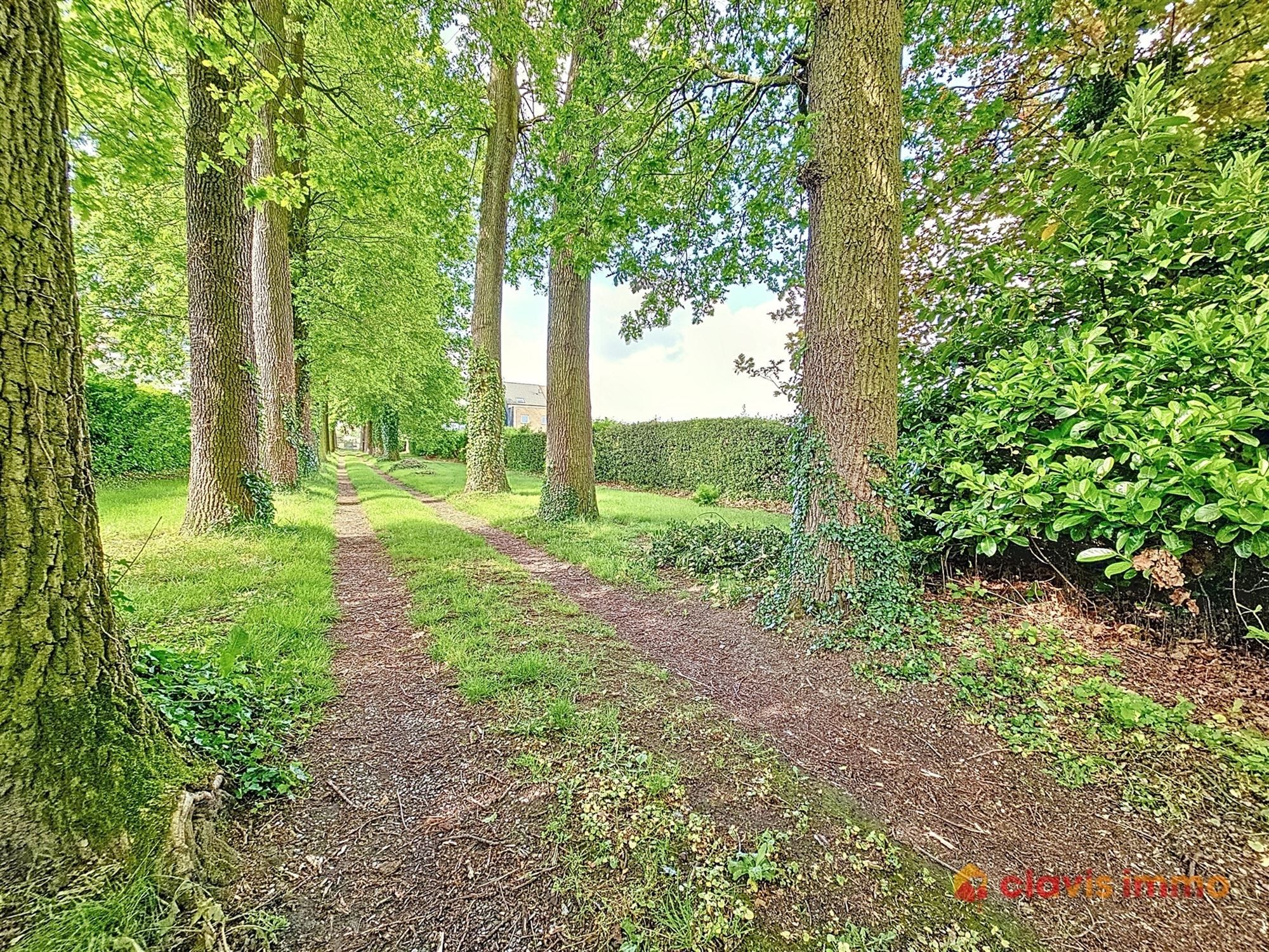 Authentieke villa met grote tuin foto 28