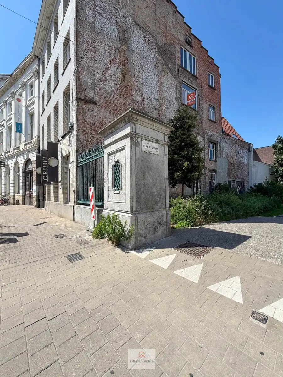 Charmant één slpk-appartement aan Baudelopark! foto 22