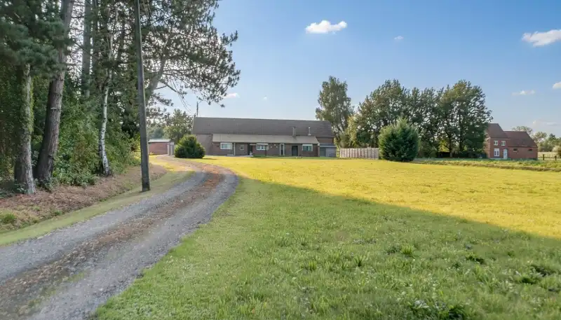 Hoeve van 300m² op 1 hectare 77 met achterliggende weiden foto 5