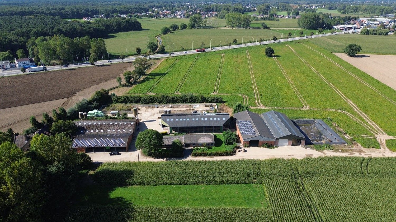 Prachtige boerderij op 1,4 hectare grond in Rekem/Lanaken foto 12