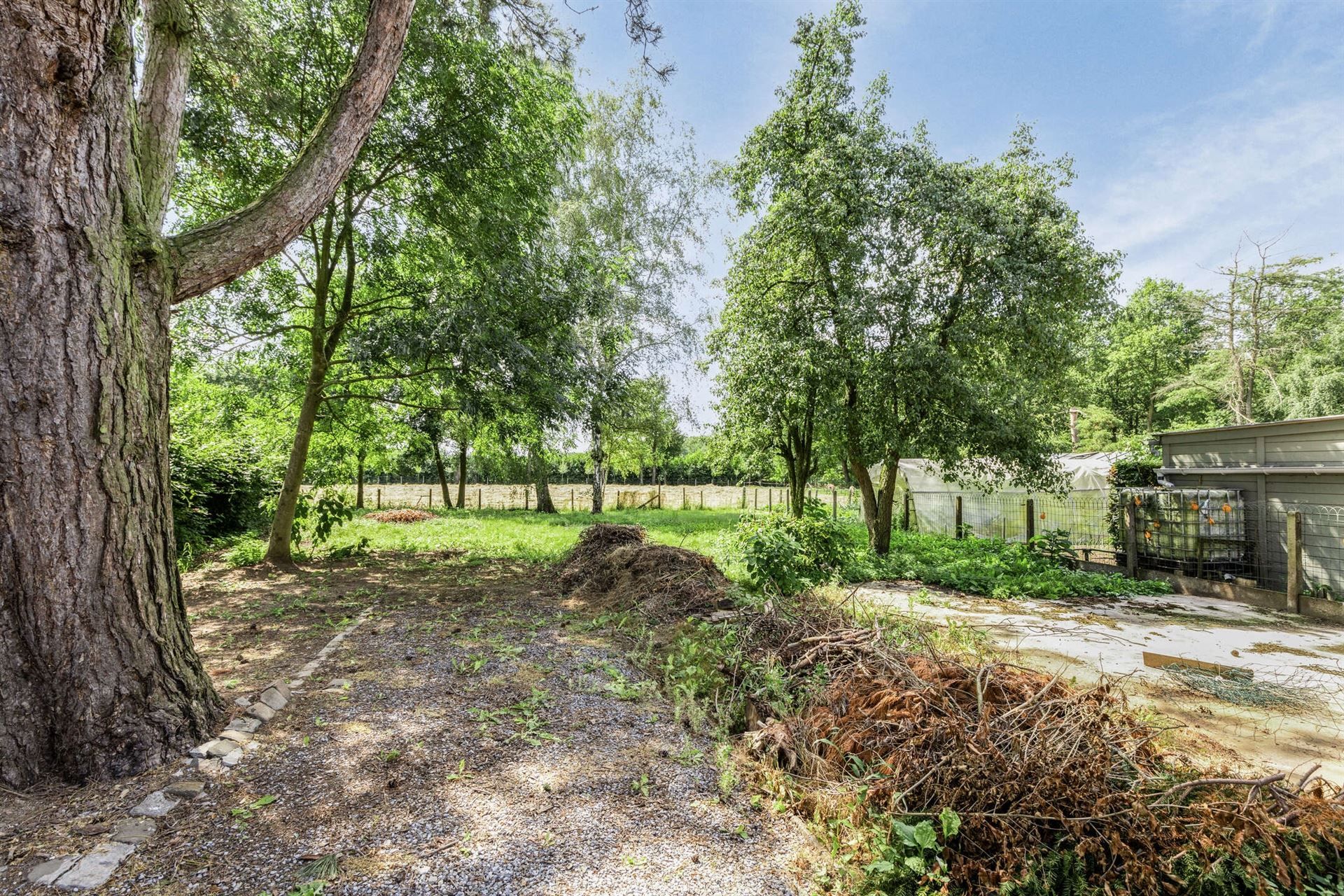 Te renoveren gezinswoning op een perceel van 10a 41ca foto 28