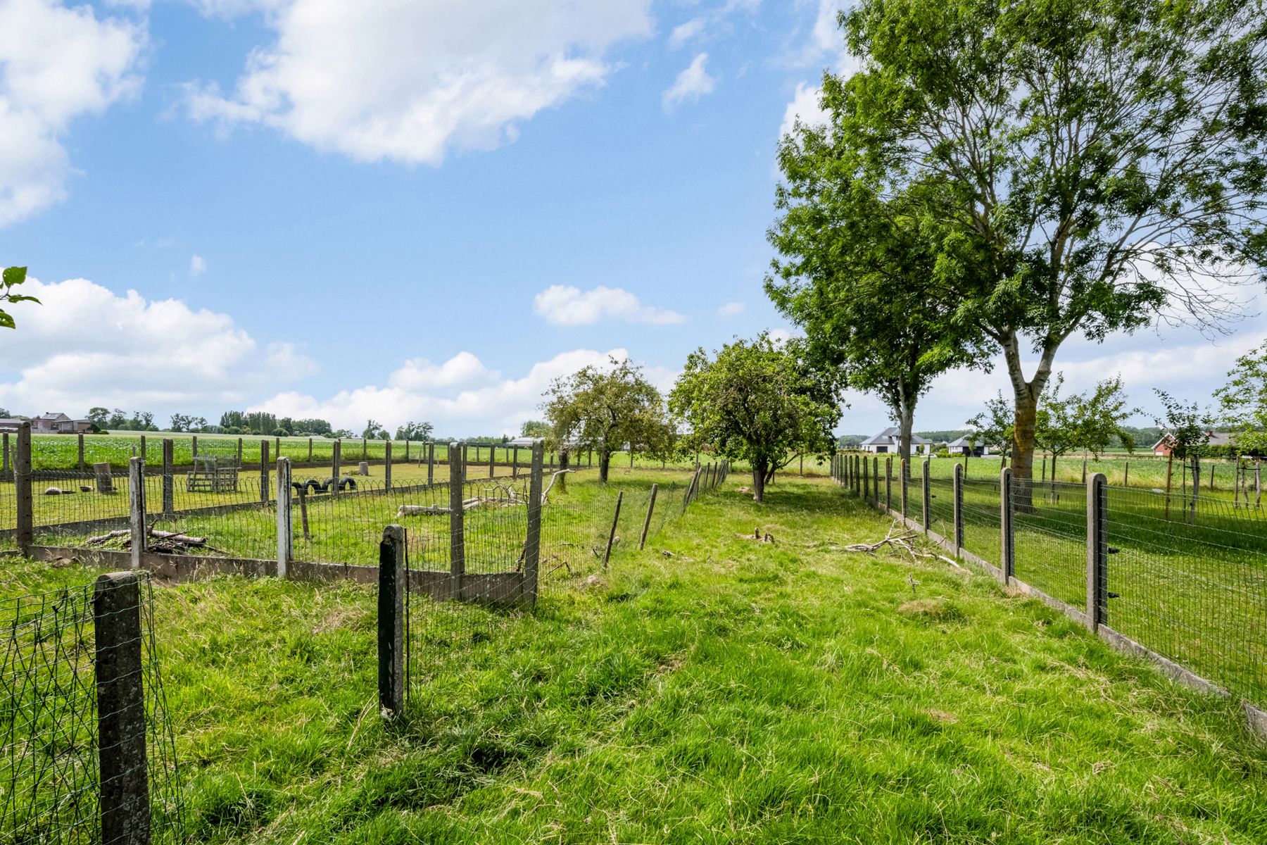 Ruime open bebouwing met prachtig zicht op natuur foto 24