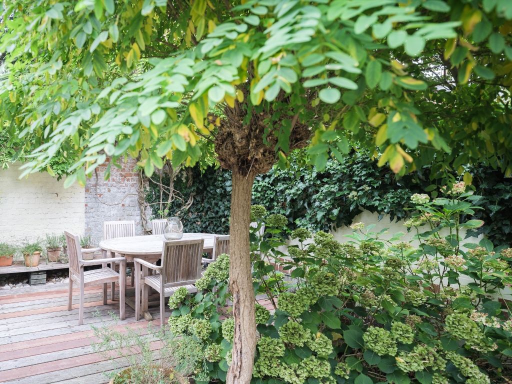 Omgeving Miljoenenkwartier - Bijzonder ruime herenwoning met tuin nabij het Paul de Smet de Naeyerpark. foto 12