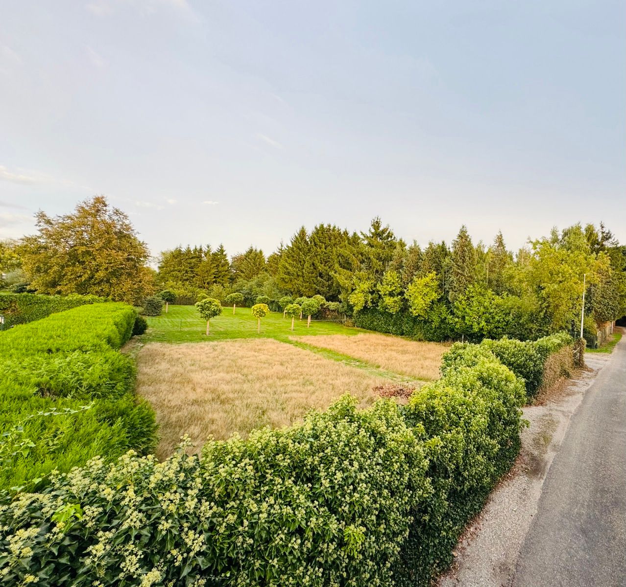 Bouwgrond van 861m² voor open bebouwing TOPLIGGING foto 9