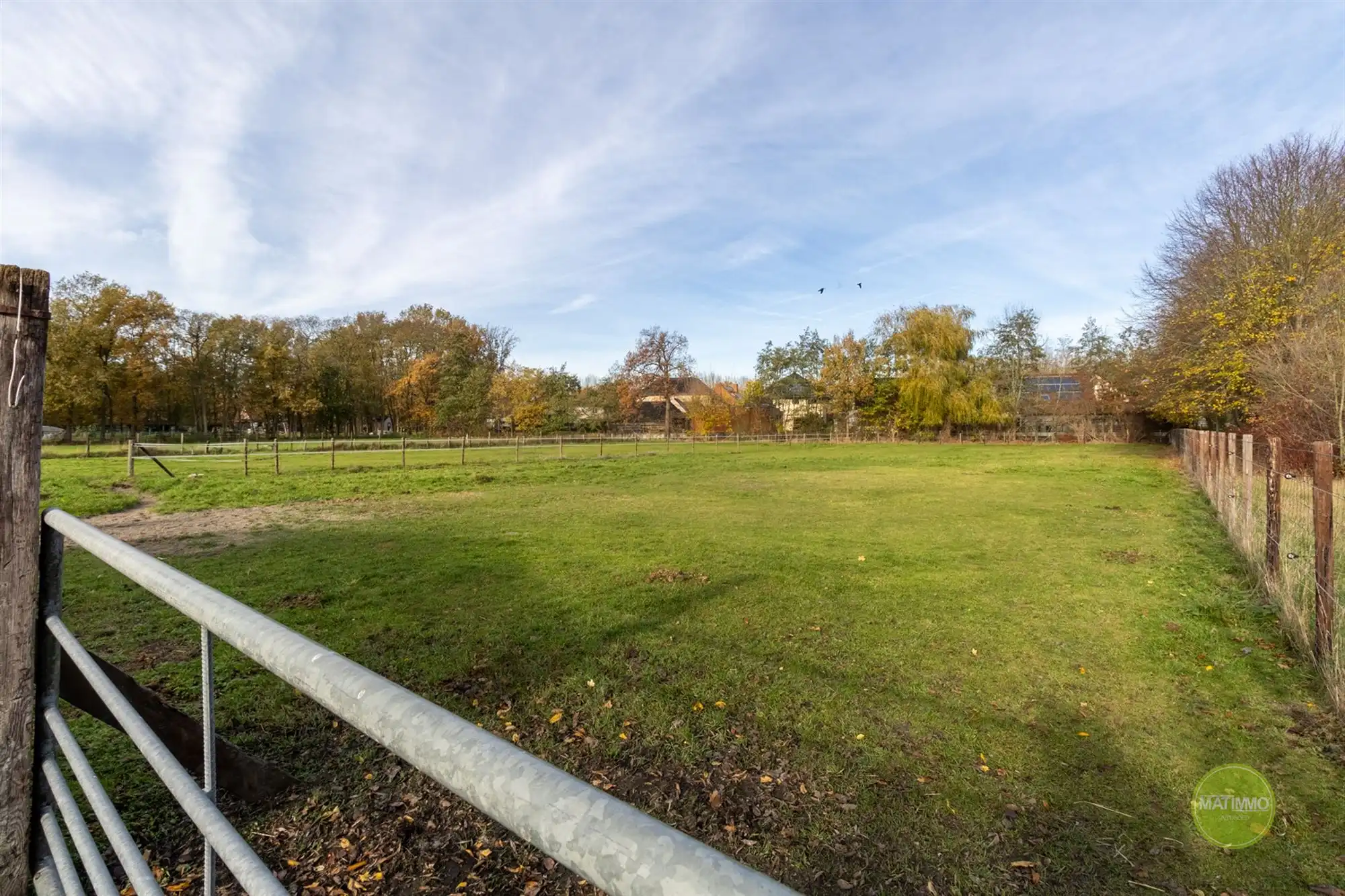 Gezinswoning met paardenweides op 5.791 m² in Mol foto 4