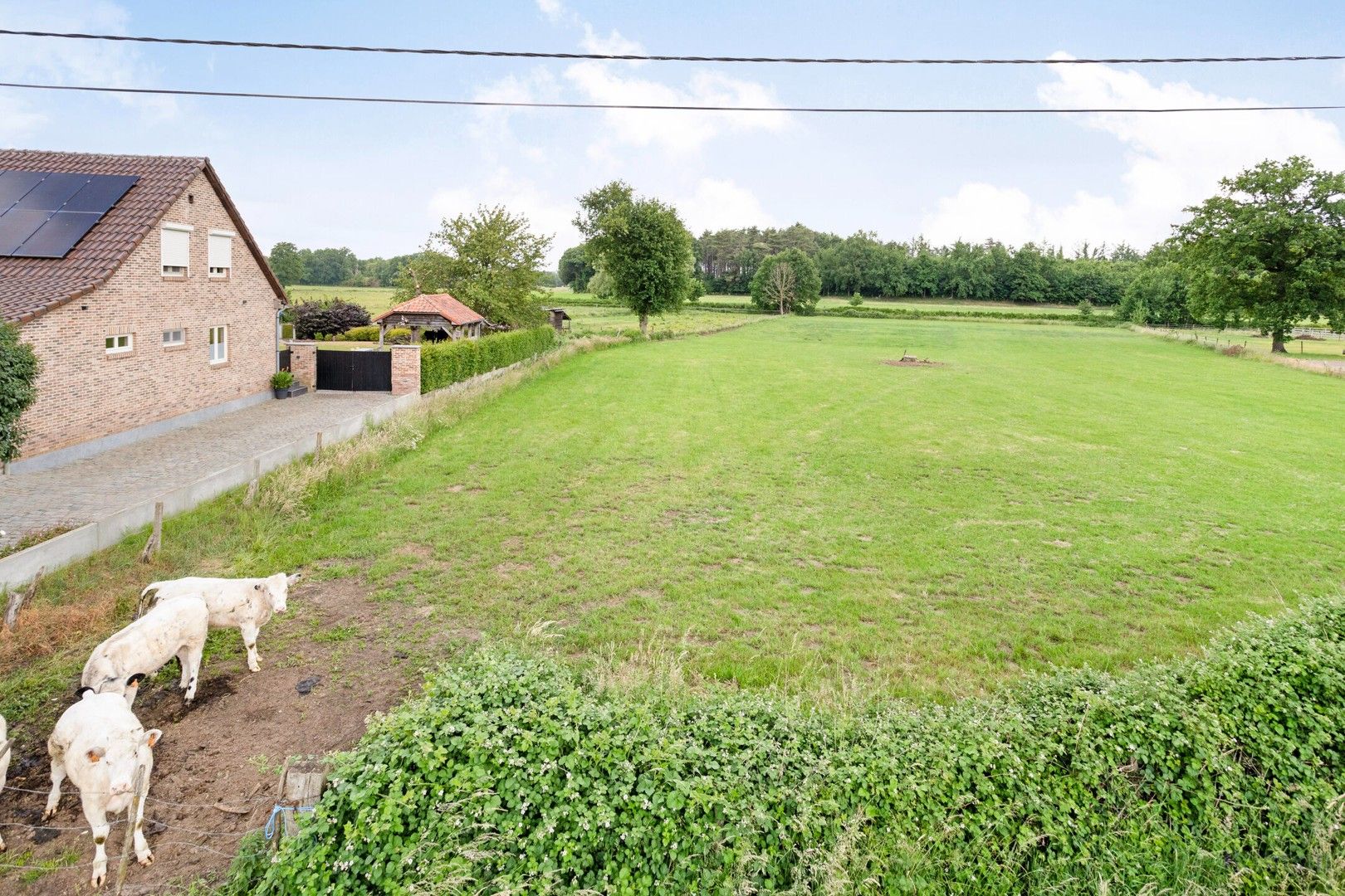 Bouwgrond voor open bebouwing te koop in Tessenderlo foto {{pictureIndex}}