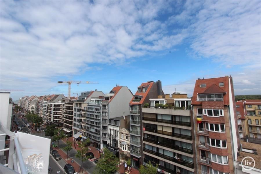 Zeer gezellige duplex met mooie terrassen, op de Lippenslaan met open haard!  foto 8