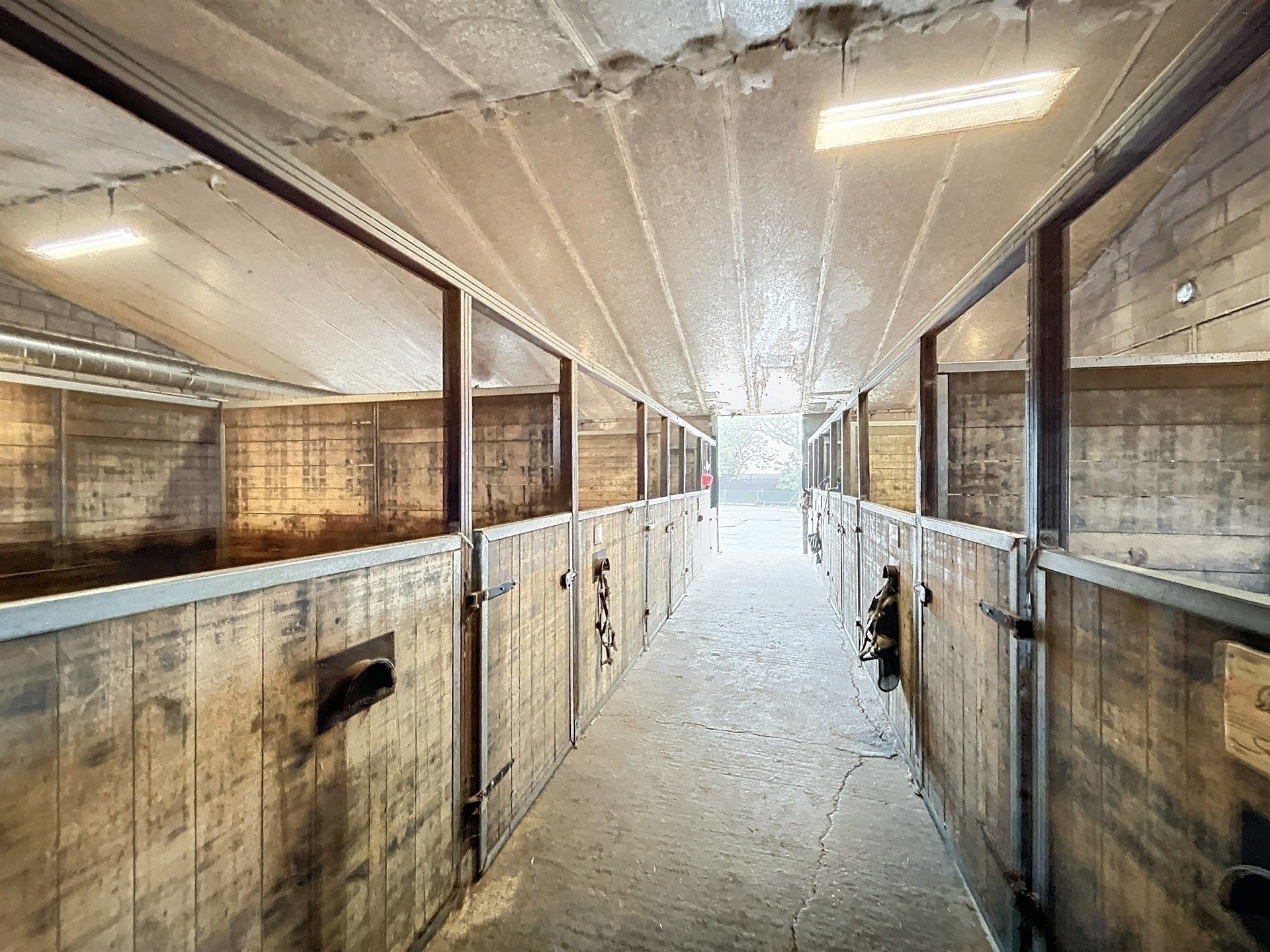 PRACHTIG GELEGEN HOEVE met bijgebouw, paardenstallen, binnenpiste en weiden op 18.385m² foto 8