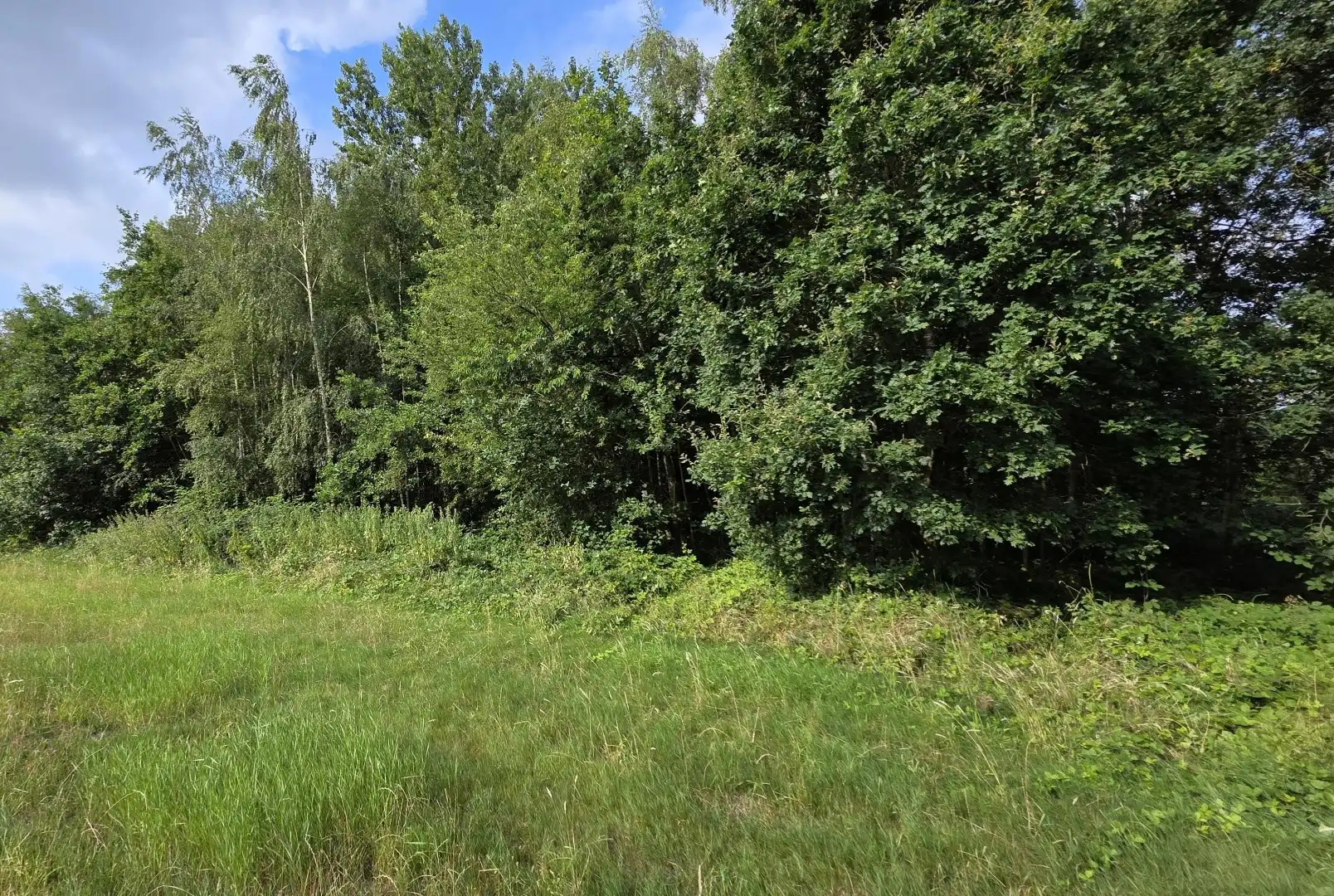 GROEN PERCEEL VAN 3.410 M² IN BETEKOM foto 2