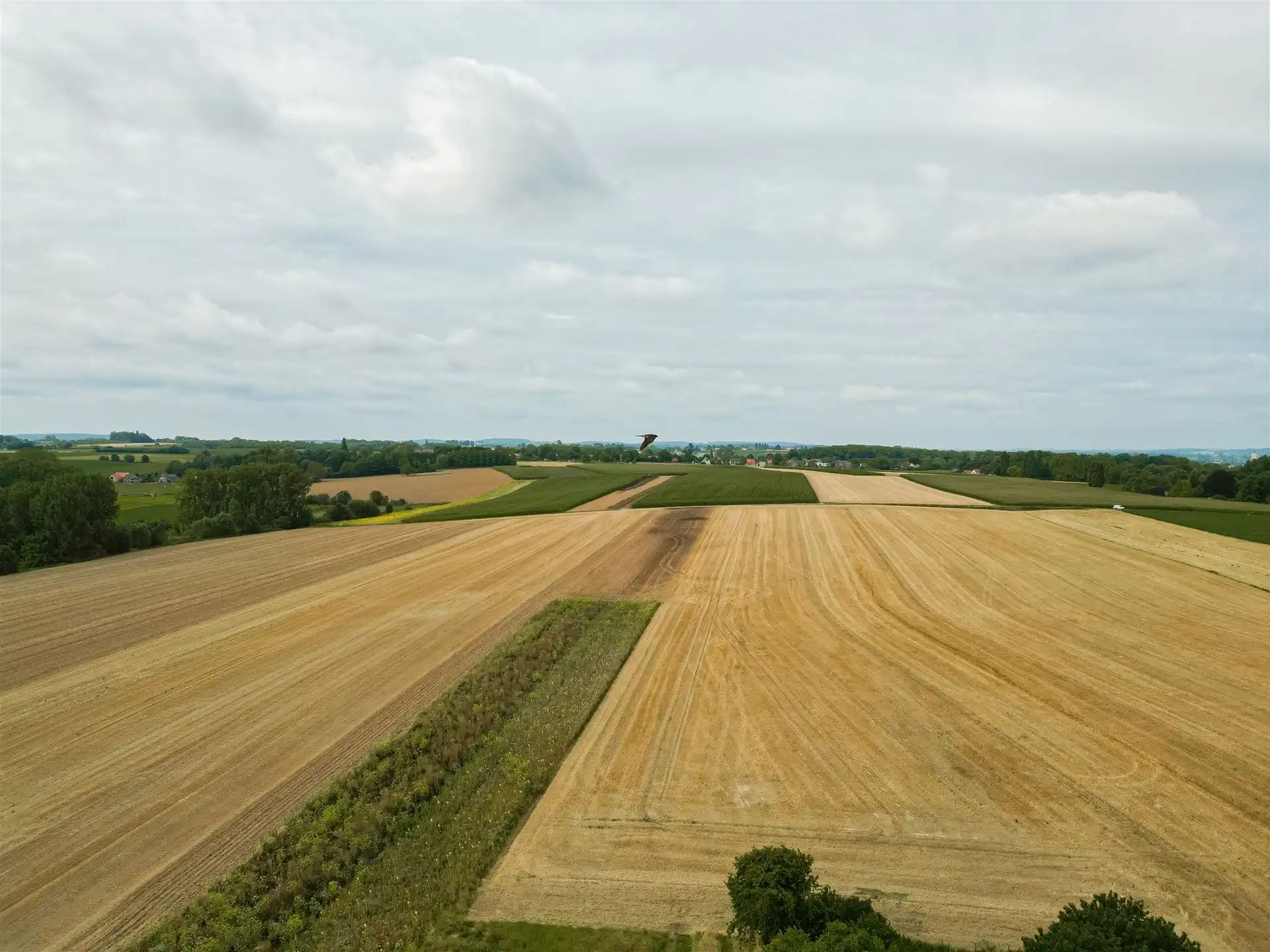 Bouwgrond in Rustige, Groene Omgeving te Mater! foto 4