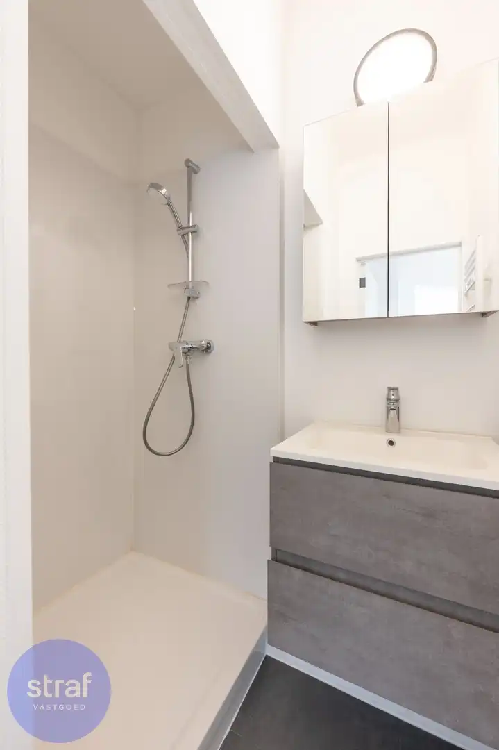 TE HUUR/ Gerenoveerd appartement met 2 slaapkamers, groot terras en zicht op het Galgenweel + 2 kelderbergingen foto 11