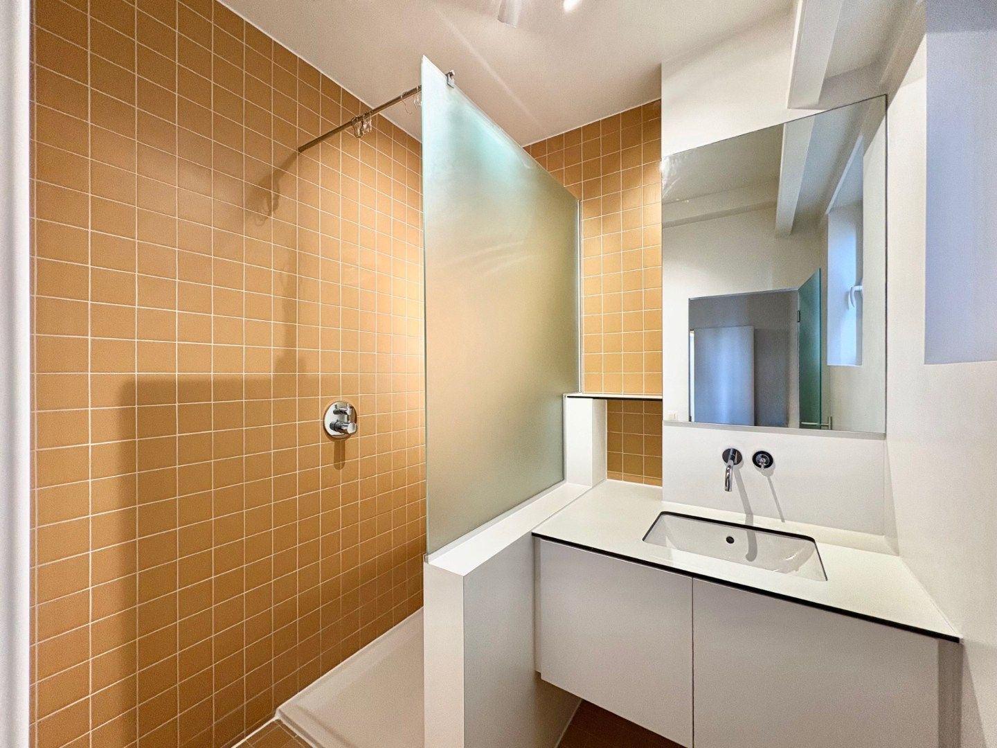 Ruim en verzorgd appartement met 1 slaapkamer in hartje Antwerpen foto 8