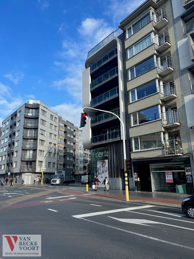 Gerenoveerd appartement met zicht op Petit-Paris foto 12