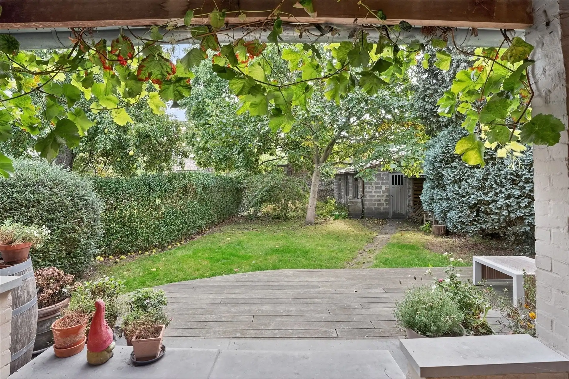 EXCLUSIEF / GROENE OASE  foto 47