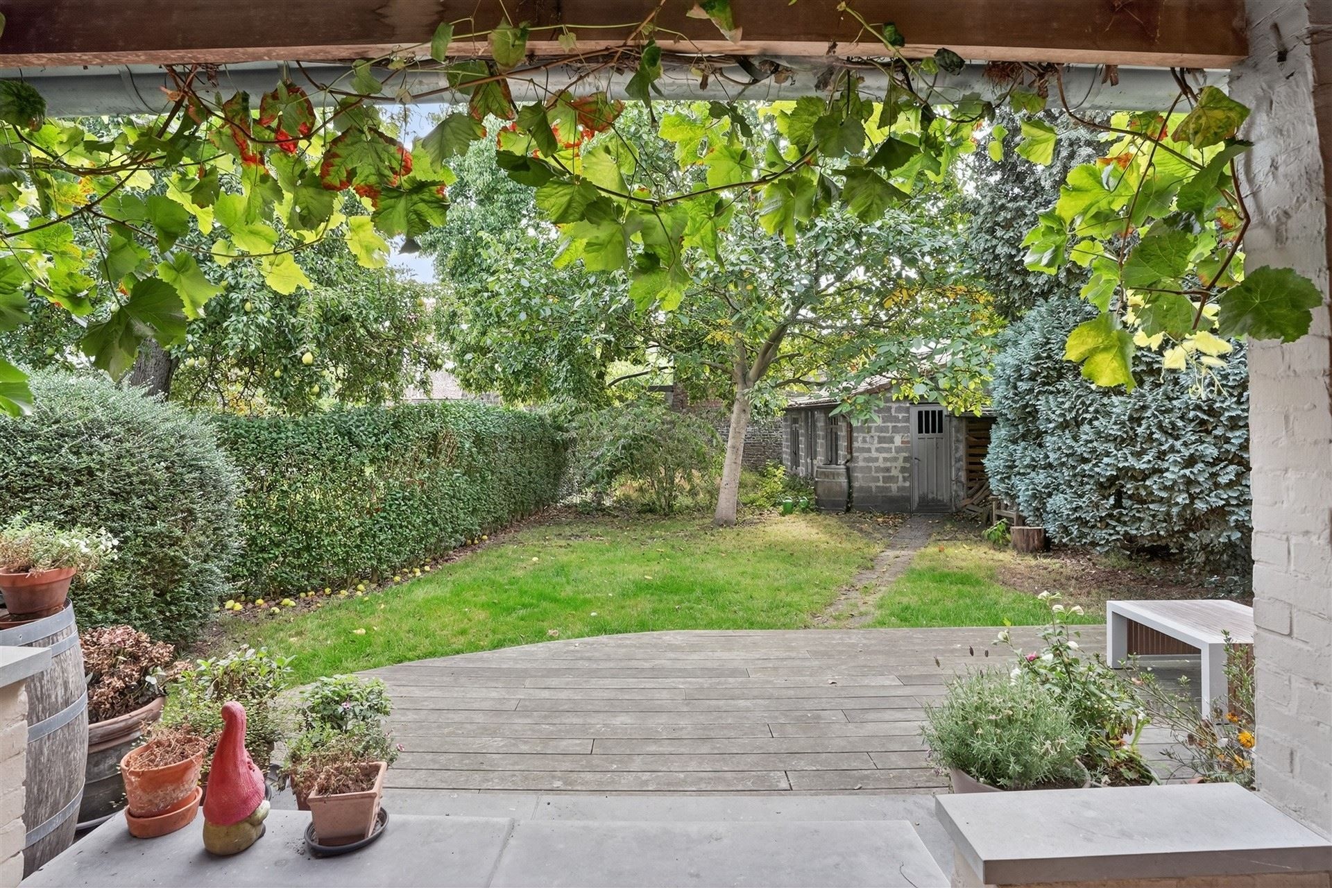 EXCLUSIEF / GROENE OASE  foto 47