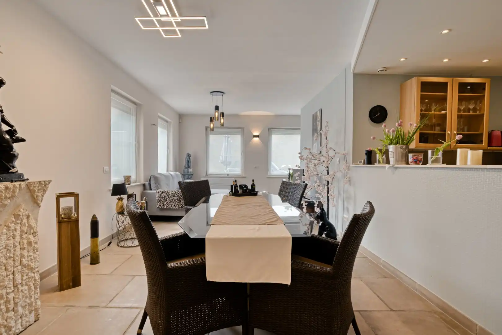 Lichtrijk, gelijkvloers appartement of handelsruimte met woonst! foto 2