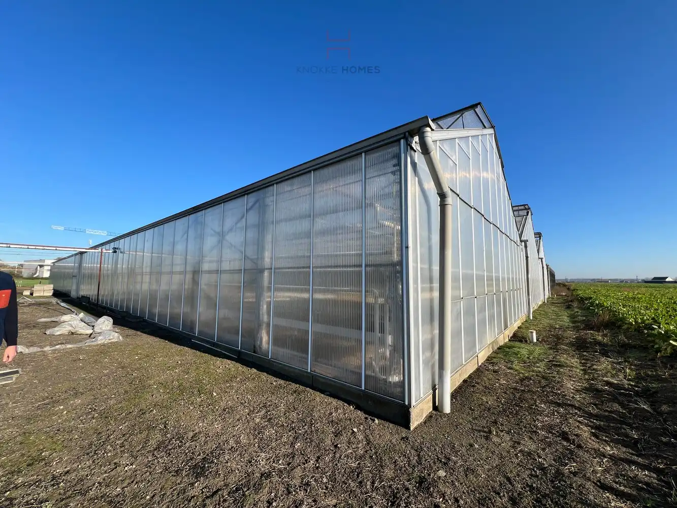 Ca.5.000 m2 serres met loods - bestemd voor agrarische doeleinden. foto 5