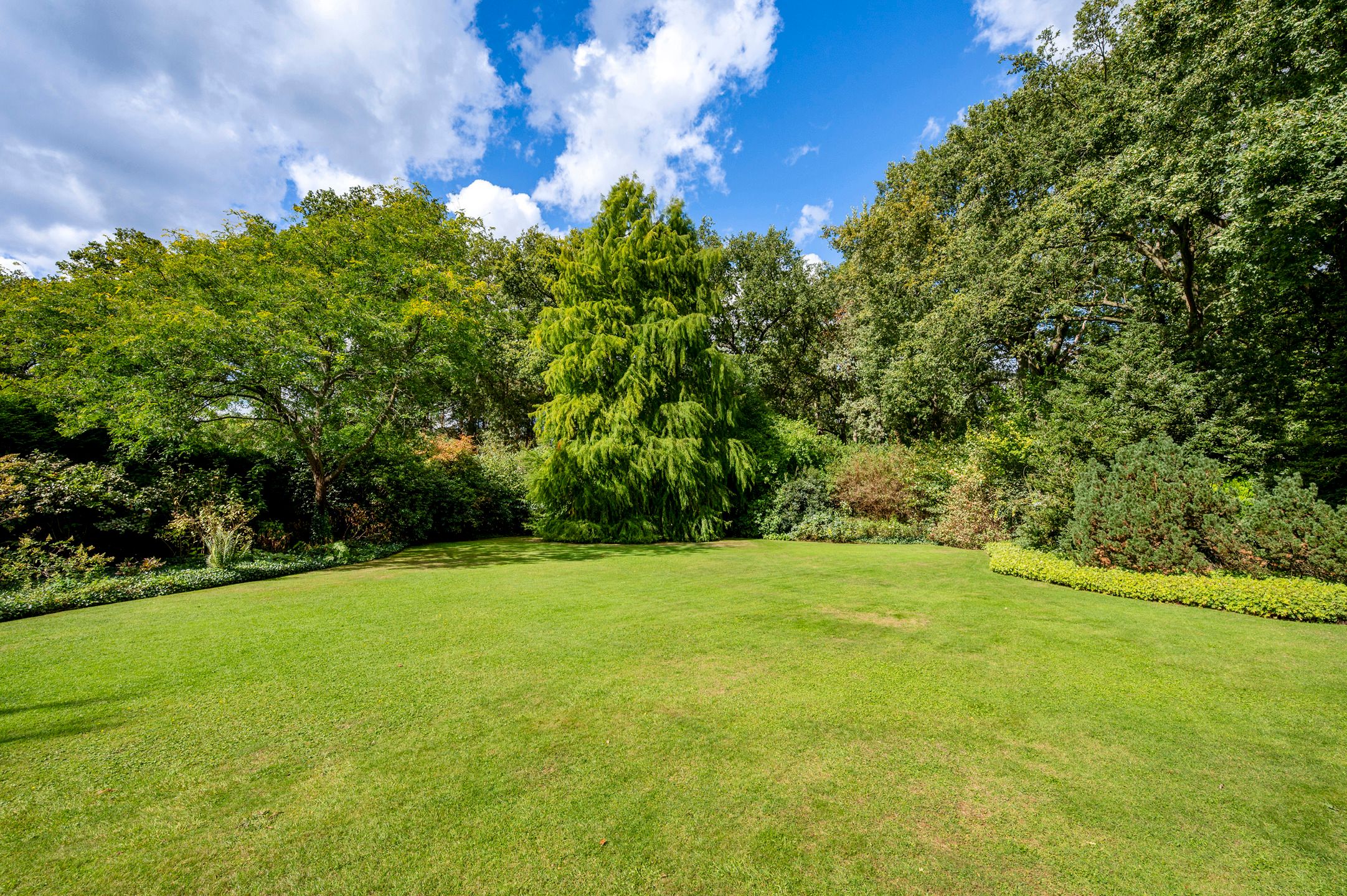 Gelijkvloerse villa op ca. 3.660 m² met parktuin! foto 16
