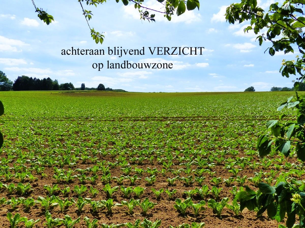 ruime gezellige villa met praktijkruimte / kangoeroewoning op 1,27 hectare foto 6