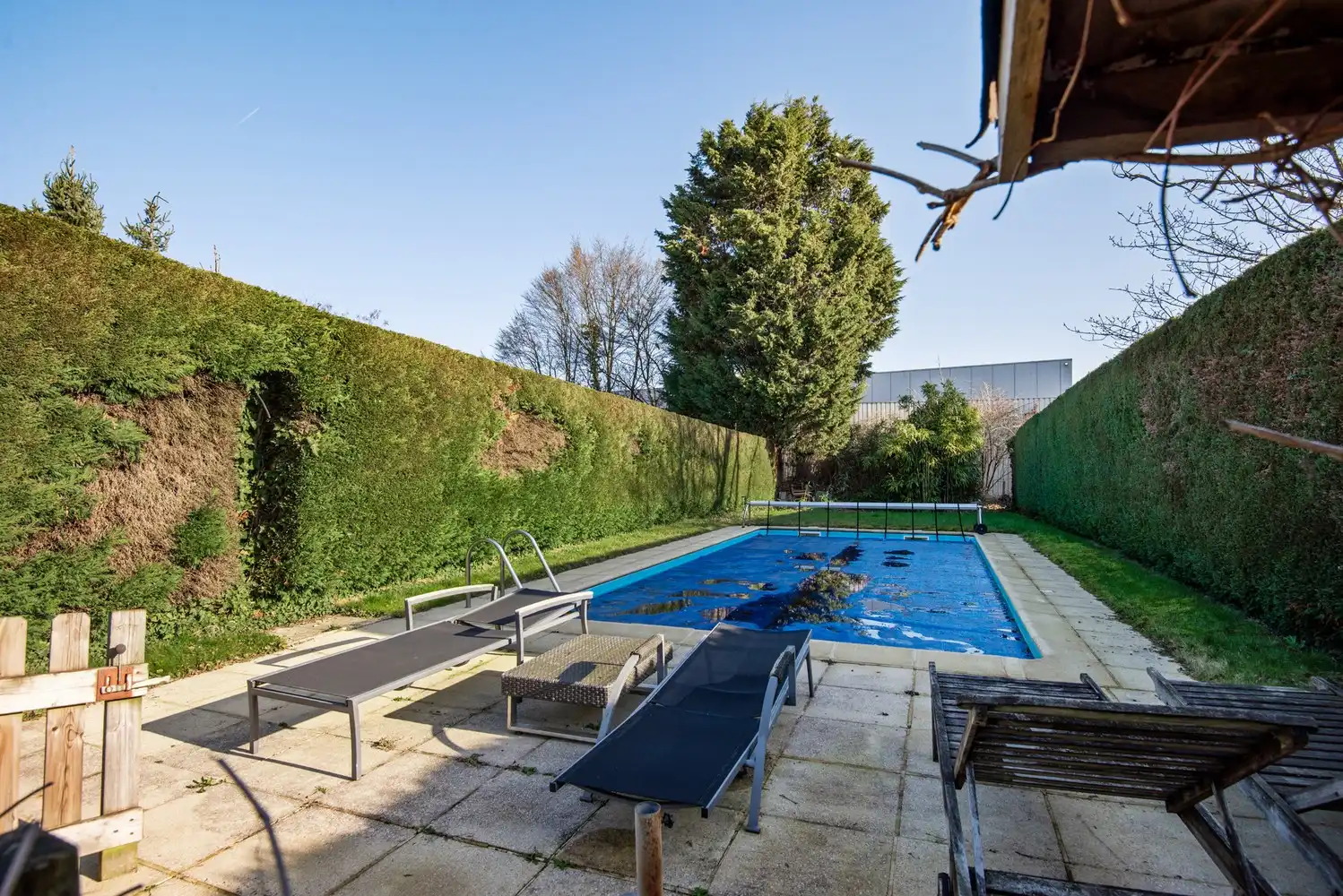 Handelshuis met ruime woning en zwembad te Koningshooikt foto 16