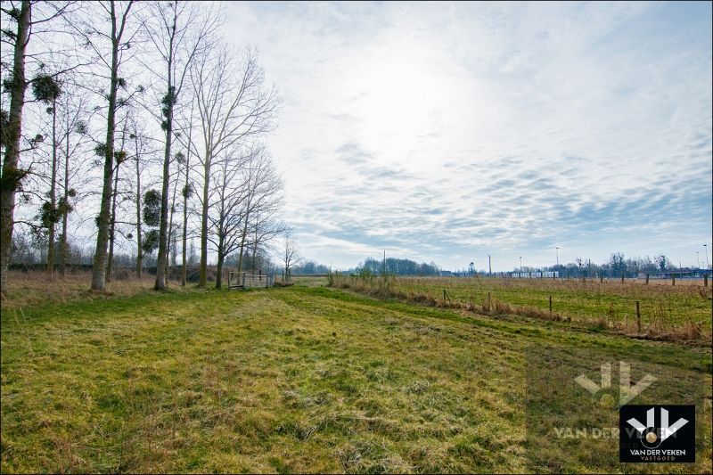 11,5 hectaren landbouwgrond foto 9
