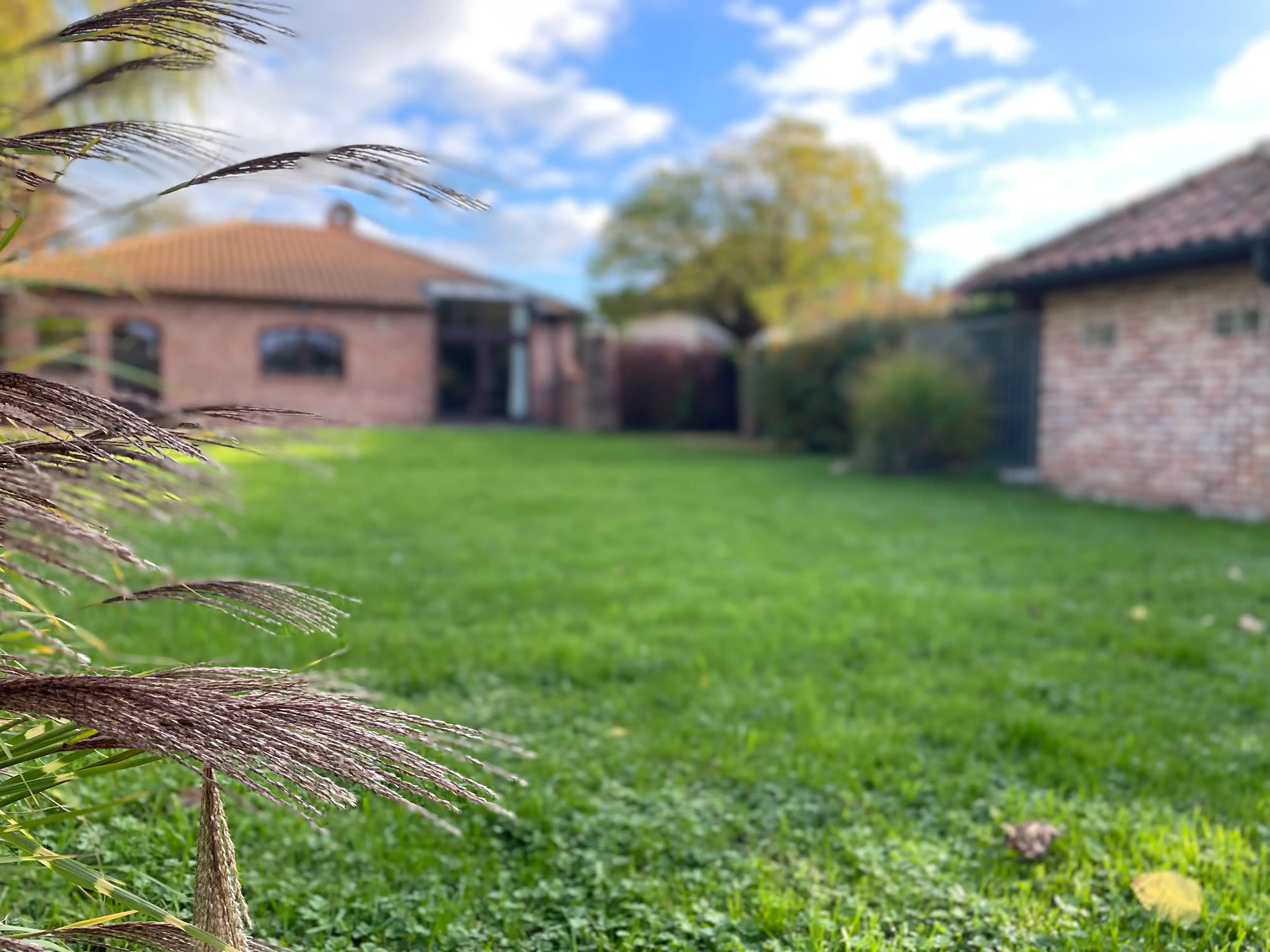 Ruime bungalow met drie slaapkamers en inpandige garage op een perceel van 10a37ca. foto 34