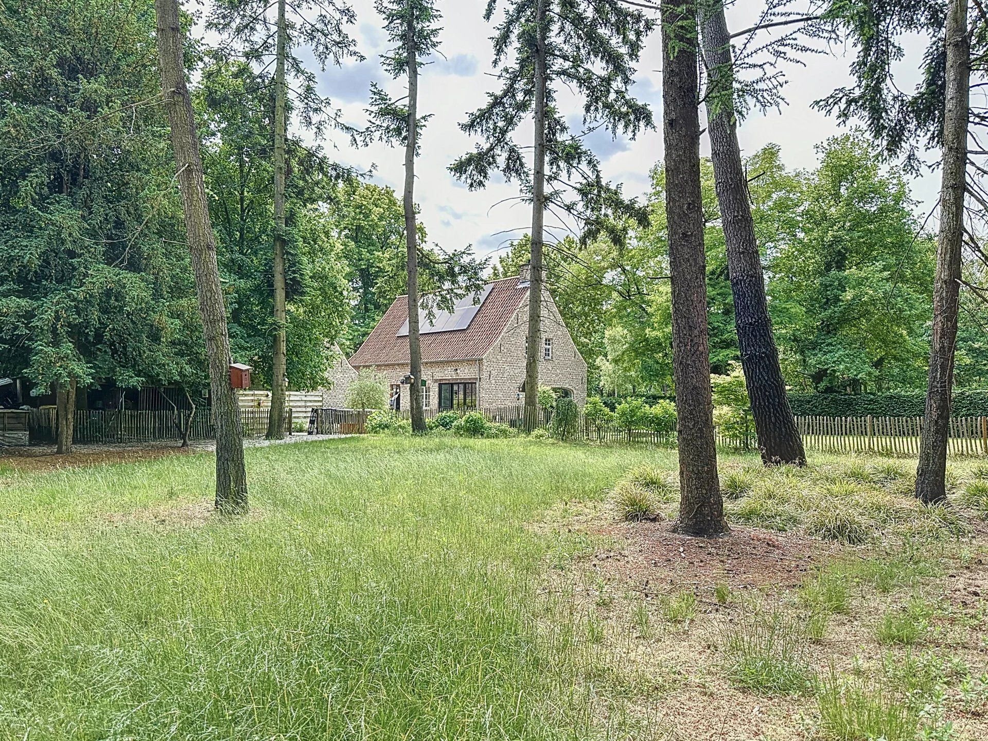 Prachtige villa met 3 slaapkamers op een perceel van +/- 60 are. foto 37