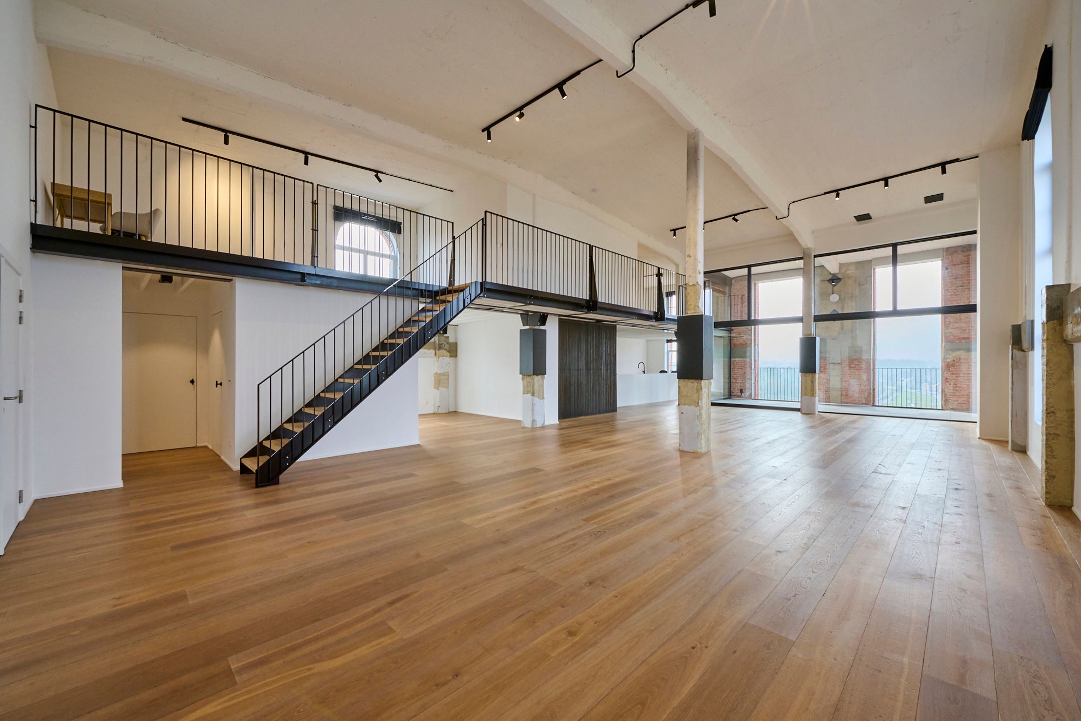 RIANTE PENTHOUSE-LOFT 263m² foto 3
