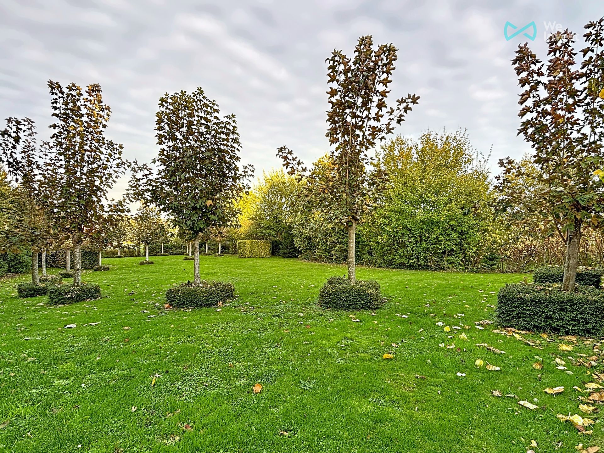 🌿 Prachtige duplex met hoogwaardige afwerking te huur foto 12