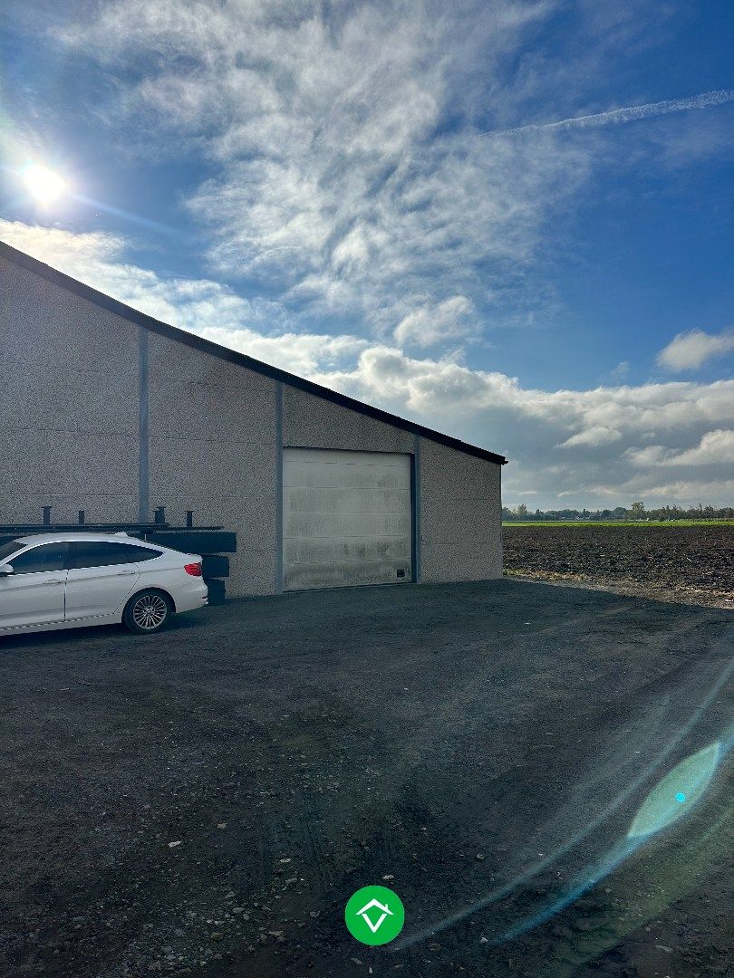 Opslagruimte van 250m² te huur in Diksmuide foto 4