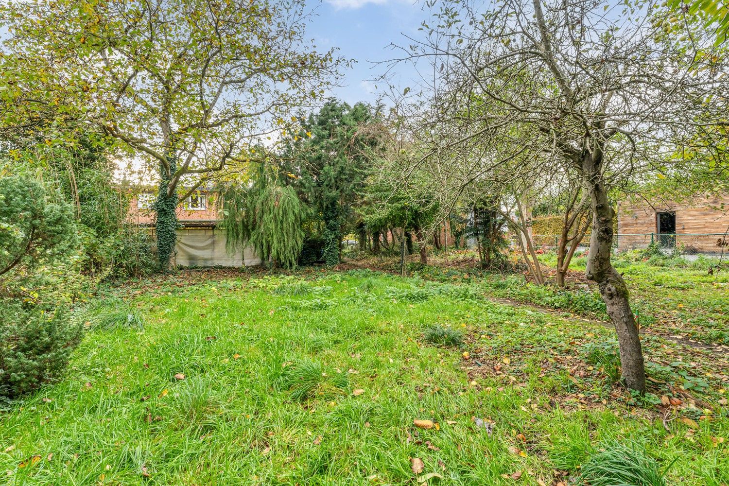 Halfopen bebouwing aan de rand van De Maten. foto 8