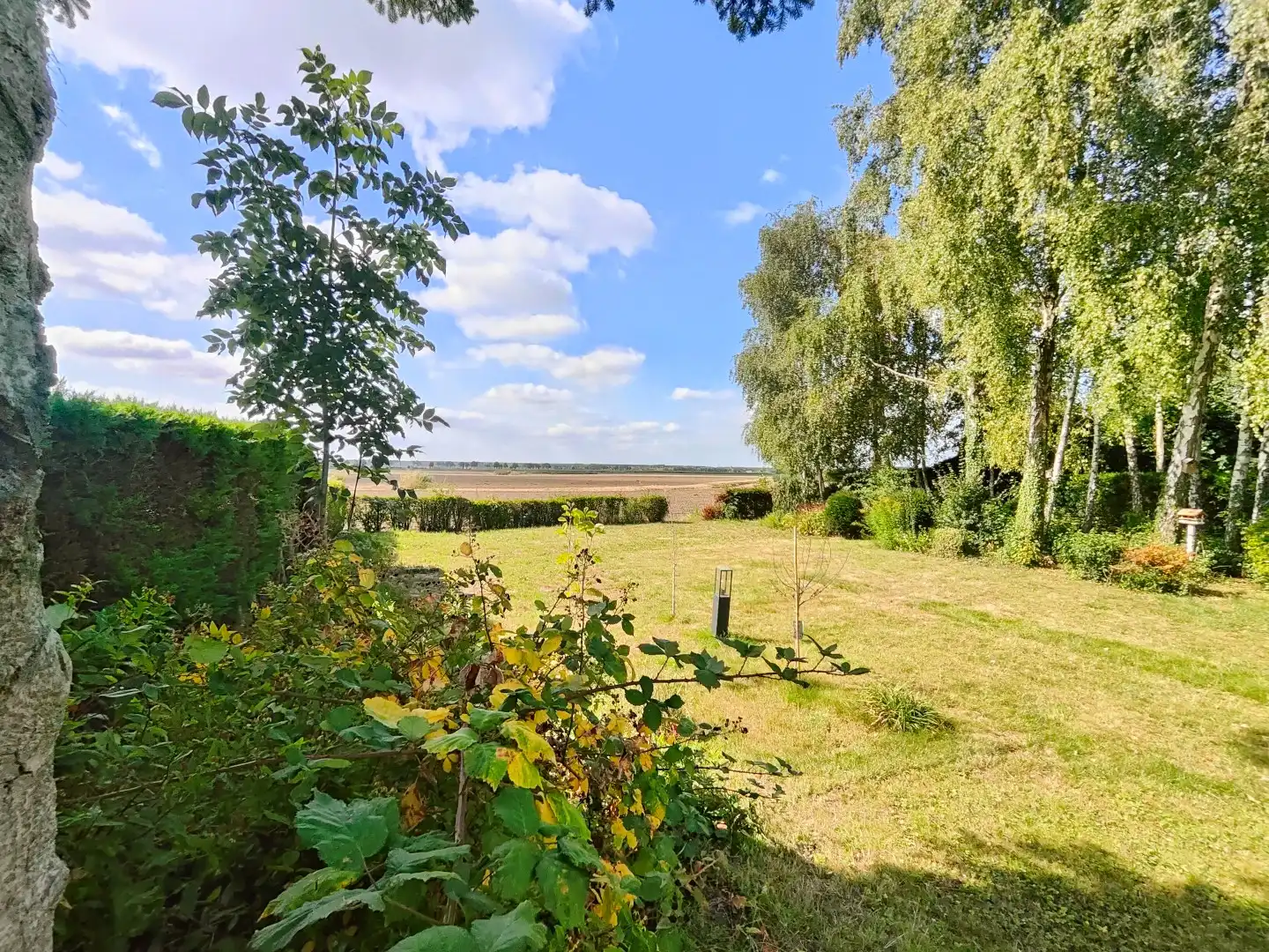 Ruimte, luxe en prachtig zicht foto 6