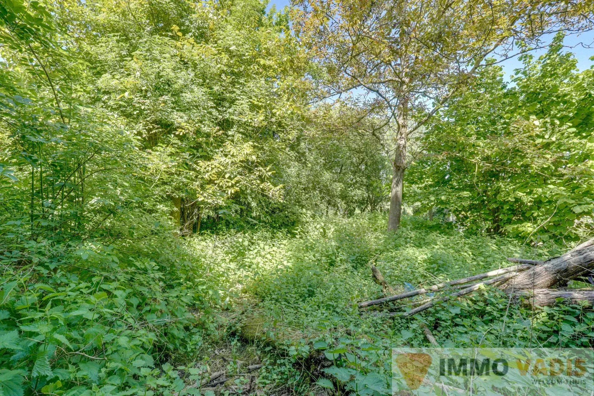 Te renoveren hoeve met binnenkoer en stallingen foto 16
