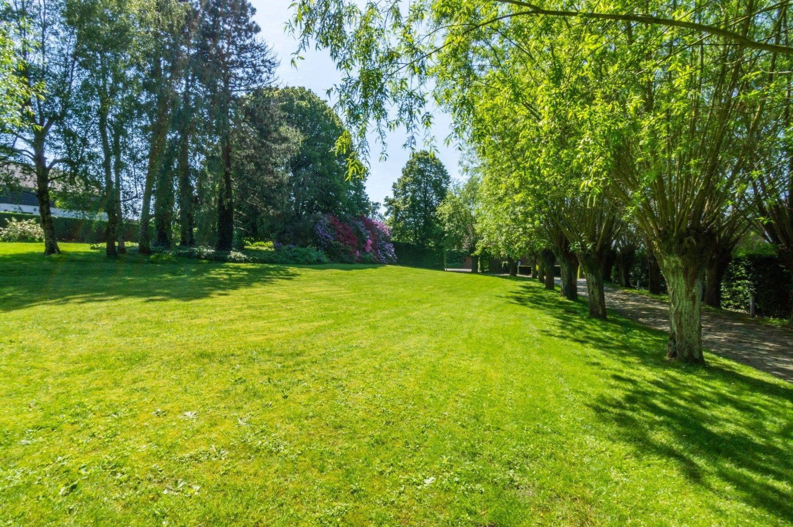 Een topvilla met aanpalend praktijkgebouw foto 19