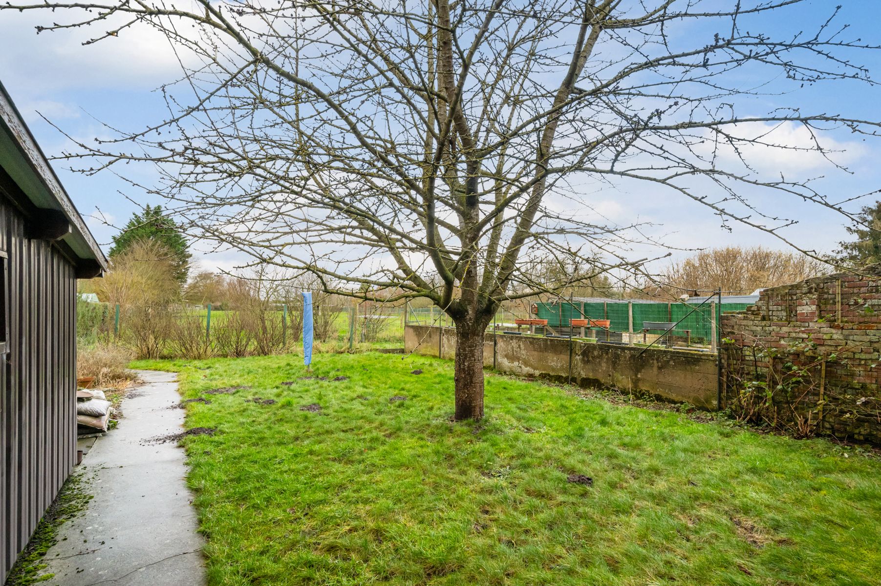 Ruime woning met bijgebouwen voor zelfstandige activiteit foto 28