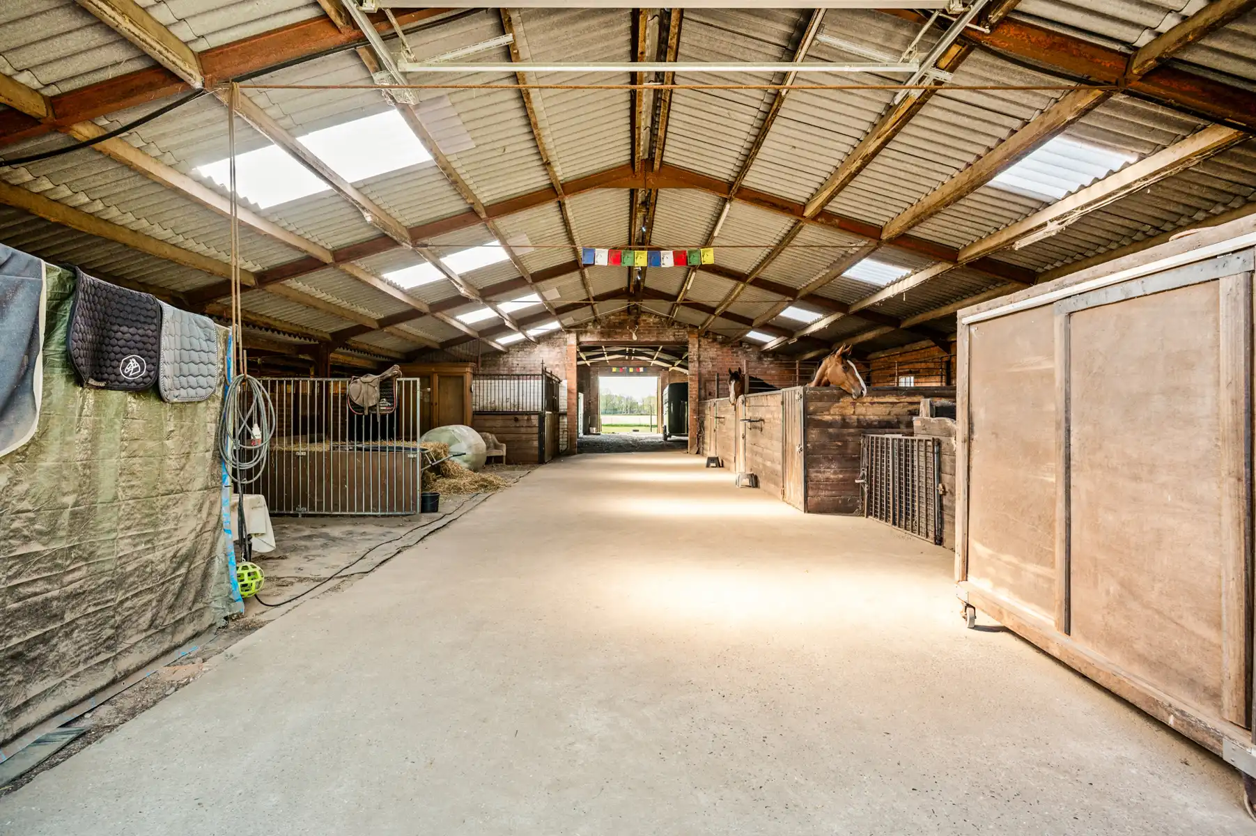 Woning met stalling/bijgebouw op 1,3Ha foto 19